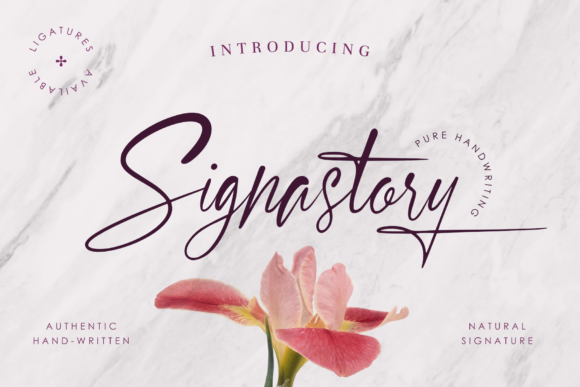 Signastory: A Modern Calligraphy Font